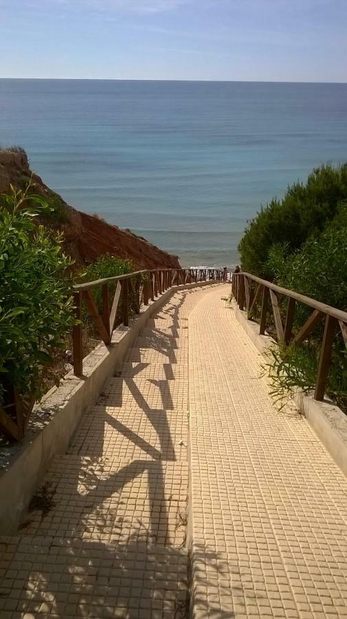 Apartamento Mandarin Playamarina II Orihuela Dış mekan fotoğraf